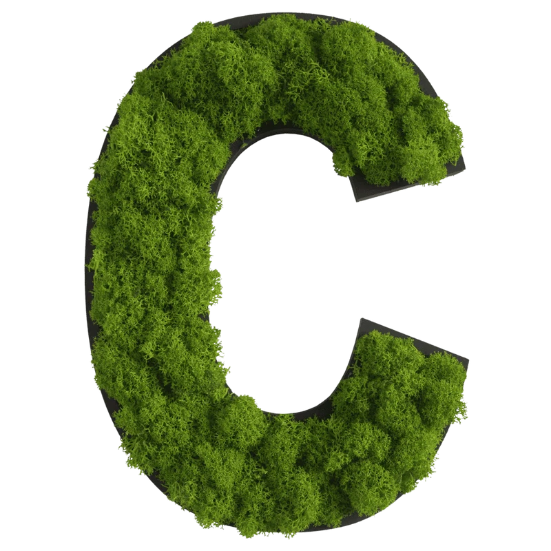 Islandmoos Piktogramm Buchstabe