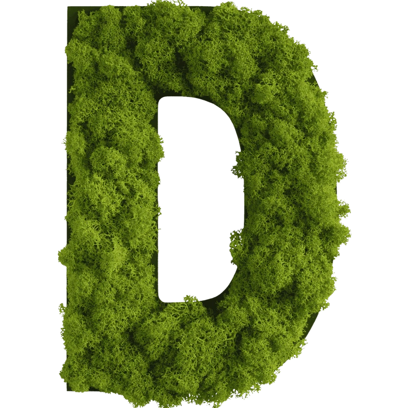 Islandmoos Piktogramm Buchstabe