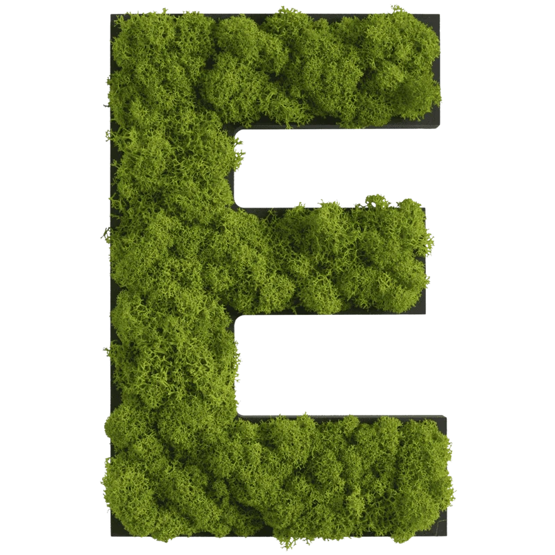 Islandmoos Piktogramm Buchstabe