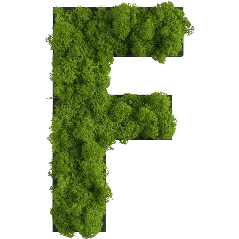 Islandmoos Piktogramm Buchstabe