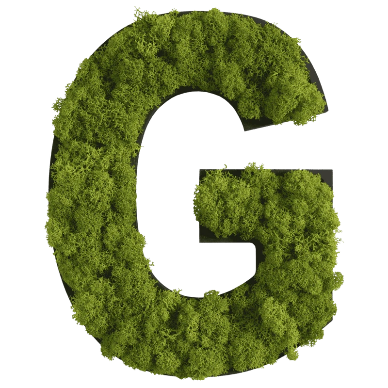 Islandmoos Piktogramm Buchstabe