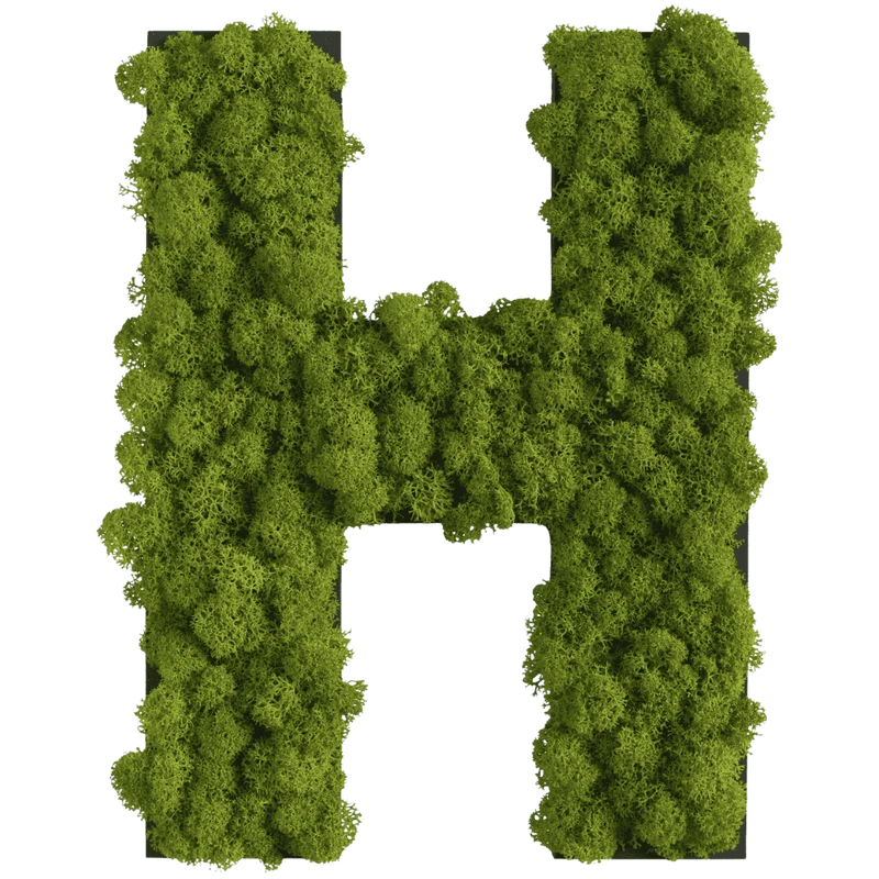 Islandmoos Piktogramm Buchstabe