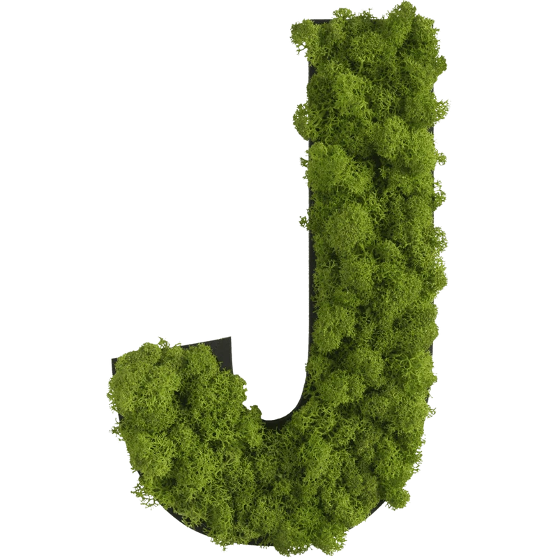 Islandmoos Piktogramm Buchstabe