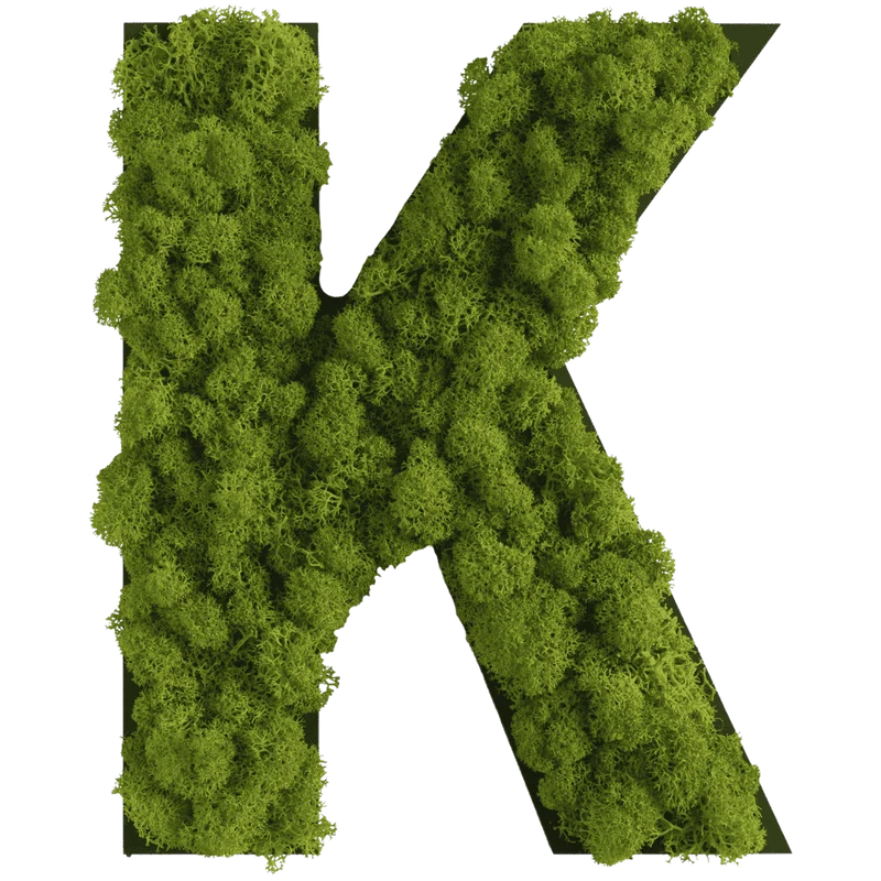 Islandmoos Piktogramm Buchstabe