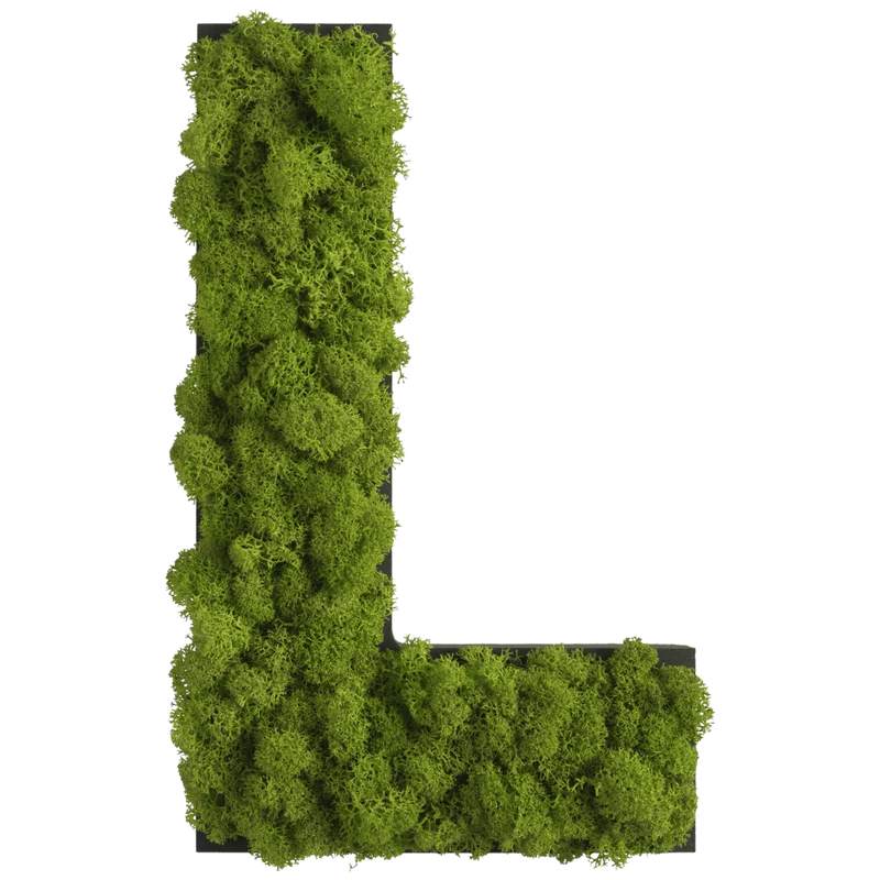Islandmoos Piktogramm Buchstabe