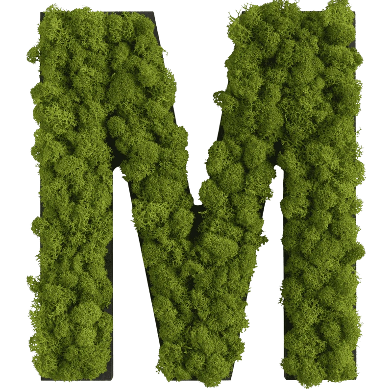Islandmoos Piktogramm Buchstabe