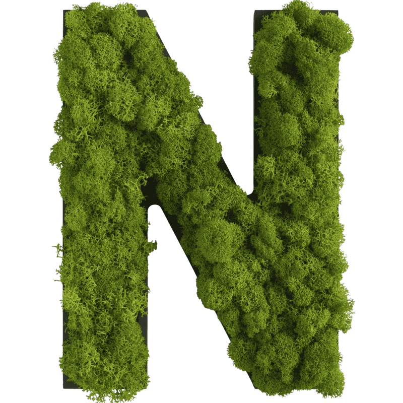 Islandmoos Piktogramm Buchstabe