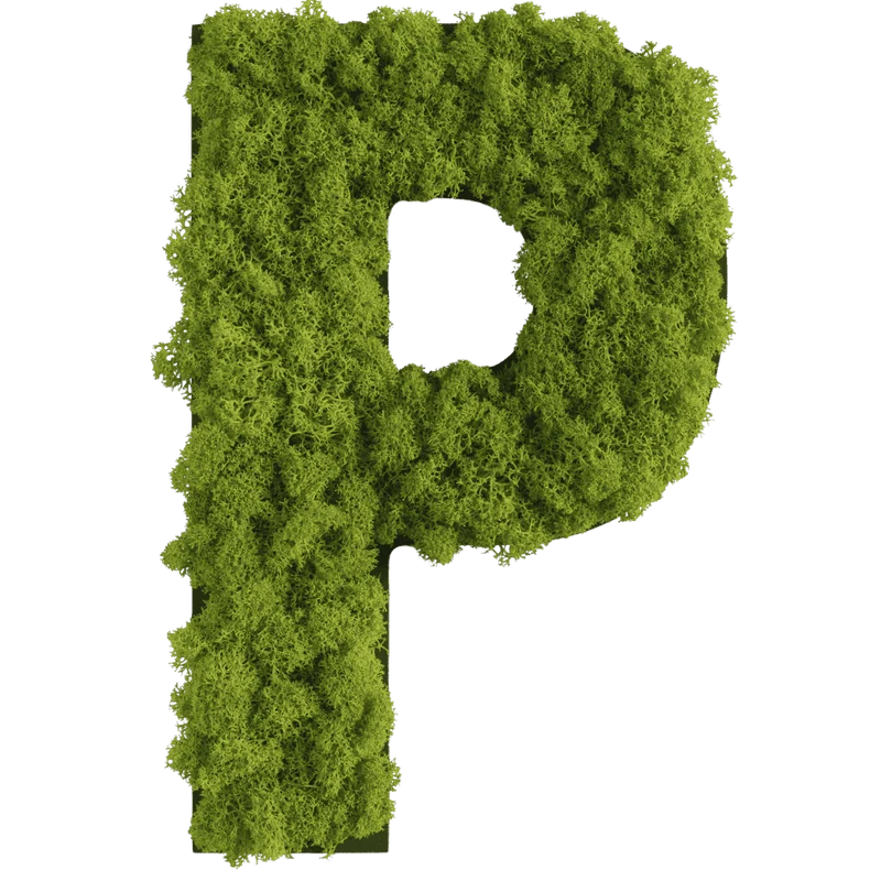 Islandmoos Piktogramm Buchstabe