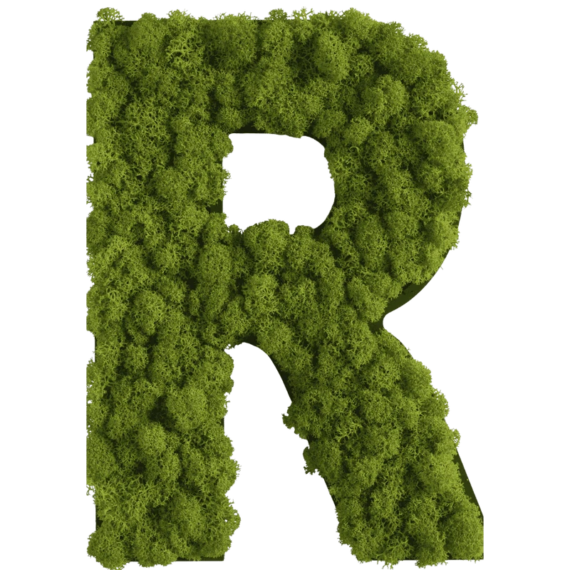 Islandmoos Piktogramm Buchstabe