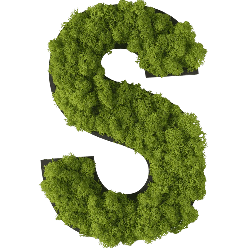Islandmoos Piktogramm Buchstabe