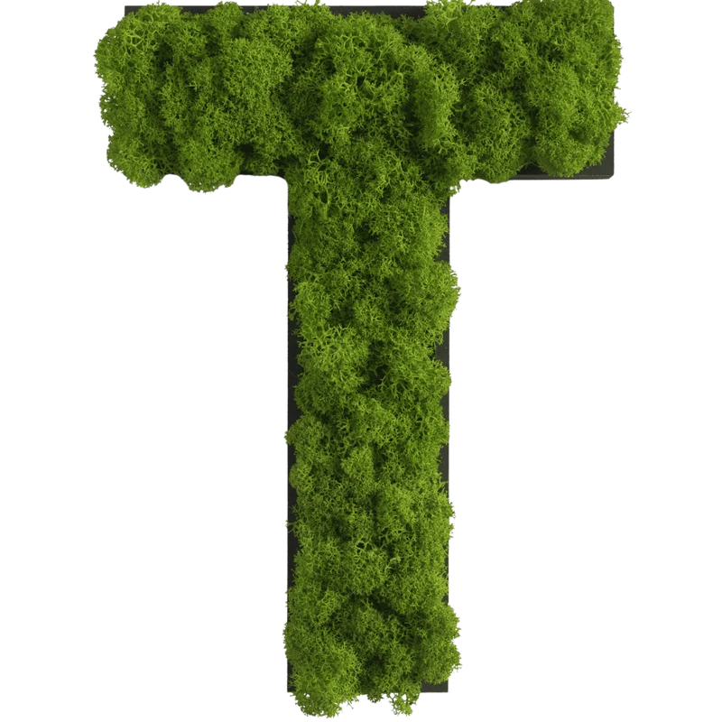 Islandmoos Piktogramm Buchstabe