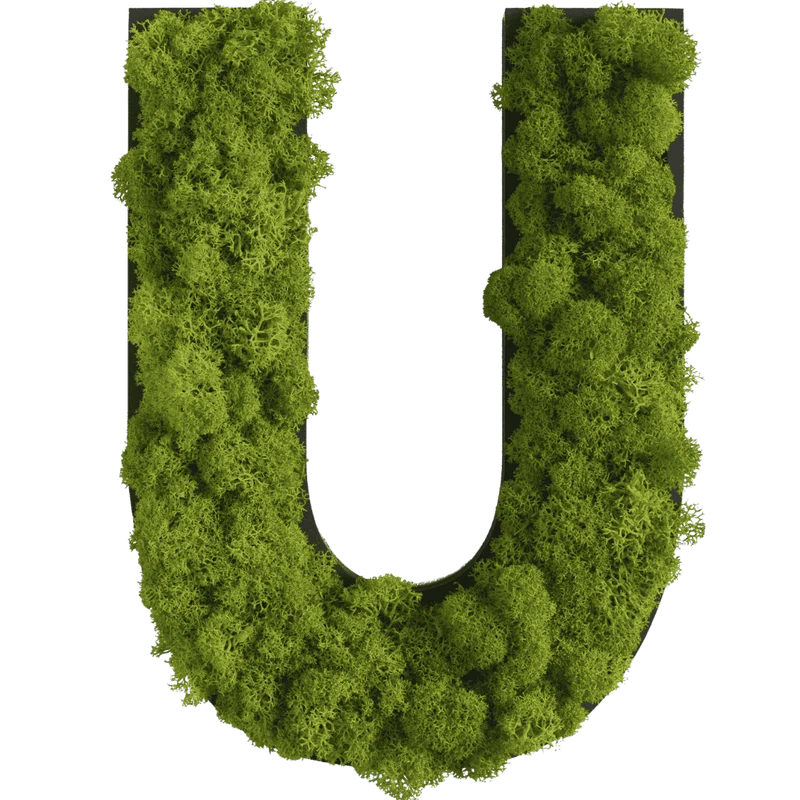 Islandmoos Piktogramm Buchstabe