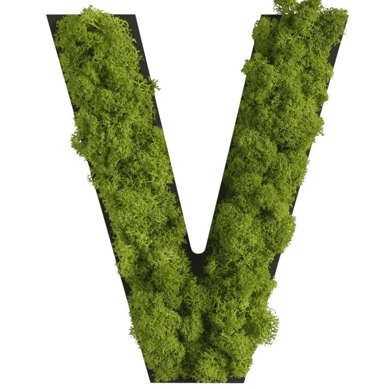 Islandmoos Piktogramm Buchstabe