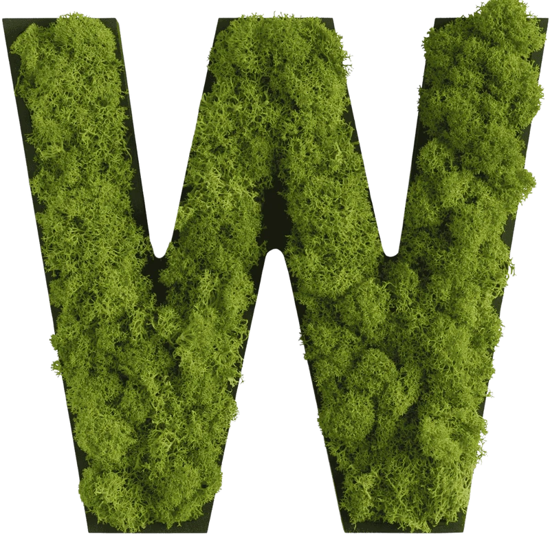 Islandmoos Piktogramm Buchstabe