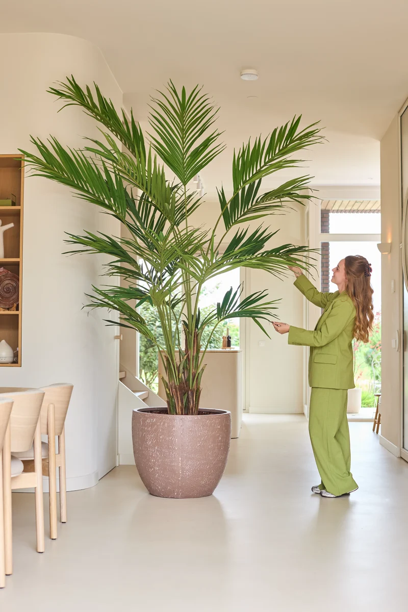 Kunstplant Kentia Palm 270 cm