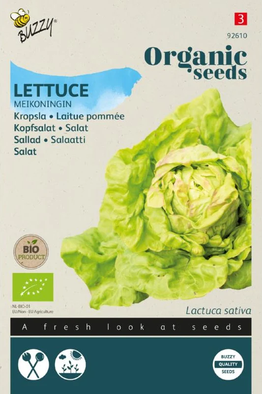 Kopfsalat Maikönigin Samen BIO