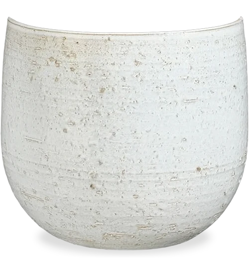 Nicolas (21 cm)