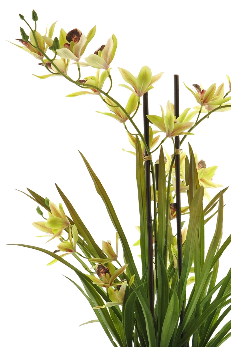 Künstliche Meadow Orchidee Grün Creme 70 cm