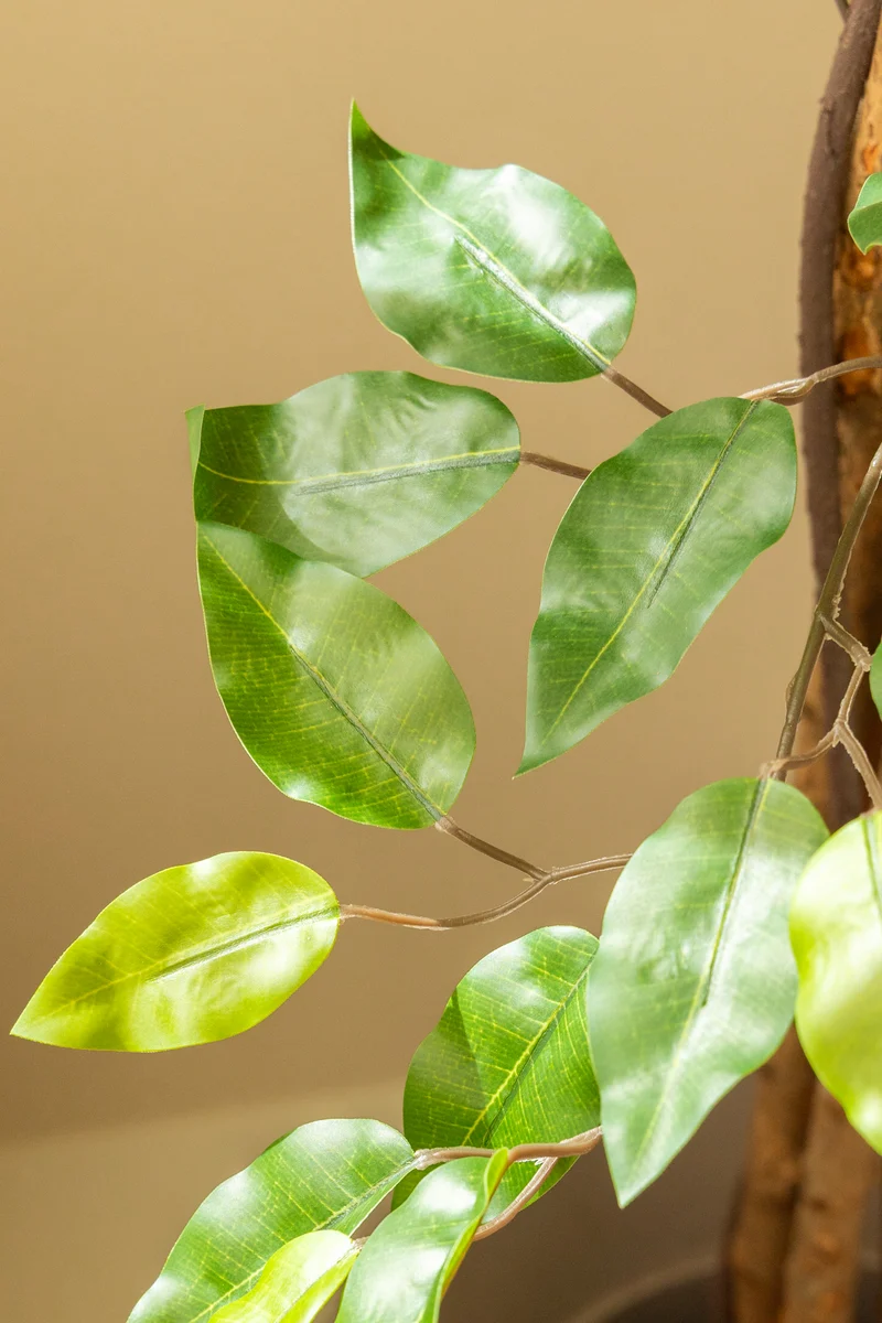 Ficus Kunstbaum 180cm