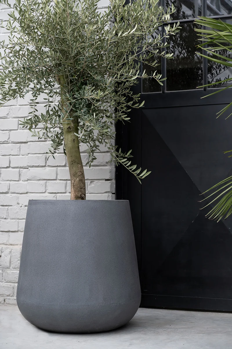 Pflanzkübel Pax Grau aus robustem Fiberstone