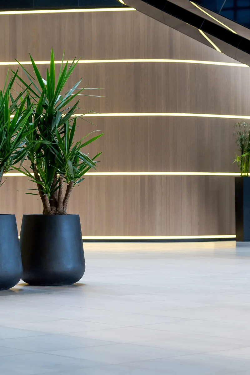 Pflanzkübel Pax Schwarz aus robustem Fiberstone