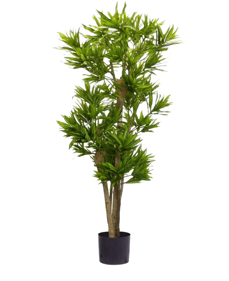 Kunstplant Dracena Reflexa 150 cm