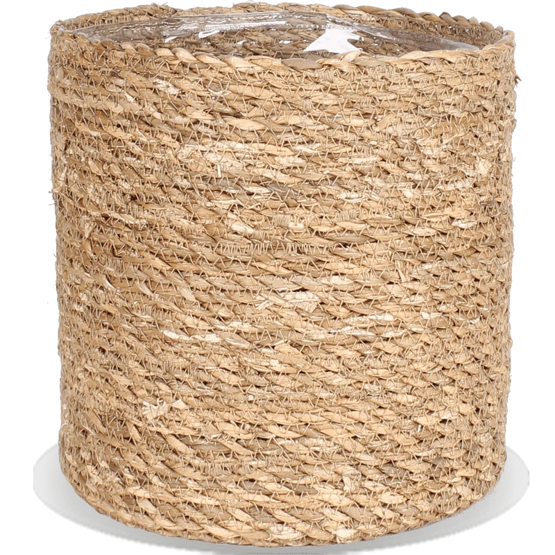 Atlantic (30 cm)
