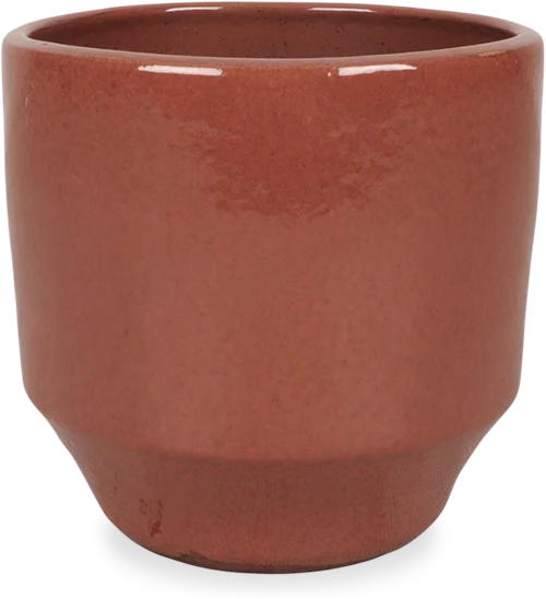 Diaz (15 cm)