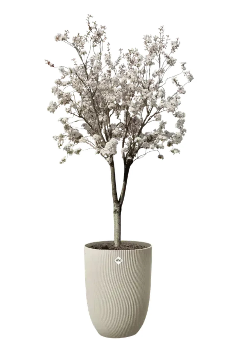 Blumentopf Elho Sereh Pilz Beige 30 cm