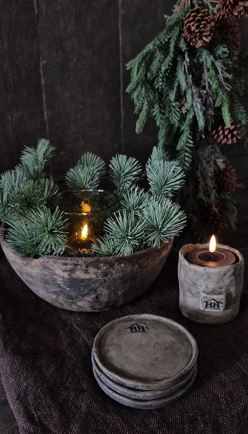 Larix kransje - 30 cm
