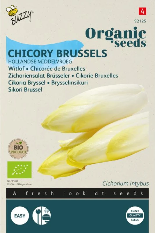 Chicorée Hollandse Middelvroeg Samen BIO