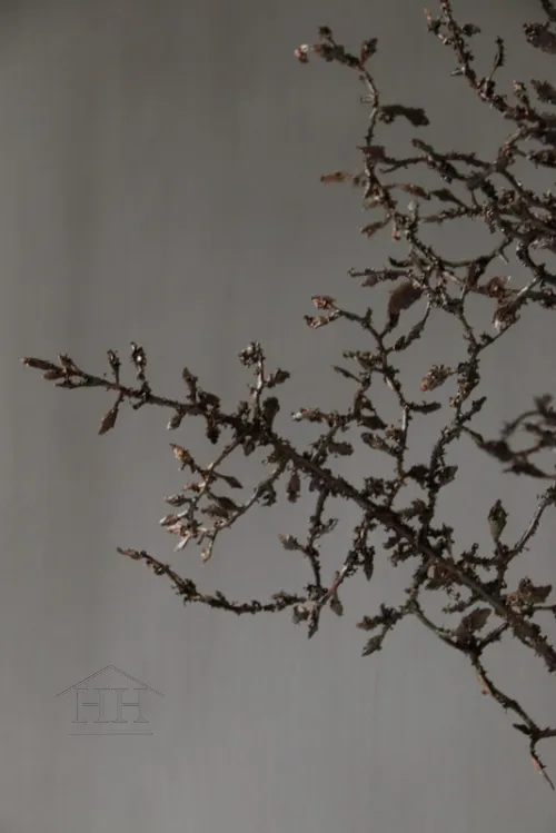 Kunst corokia tak 110cm
