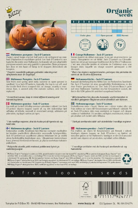 Kürbis Jack O'Lantern Samen BIO