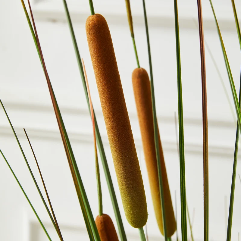 Künstlicher Rohrkolben – Emeric | 150 cm