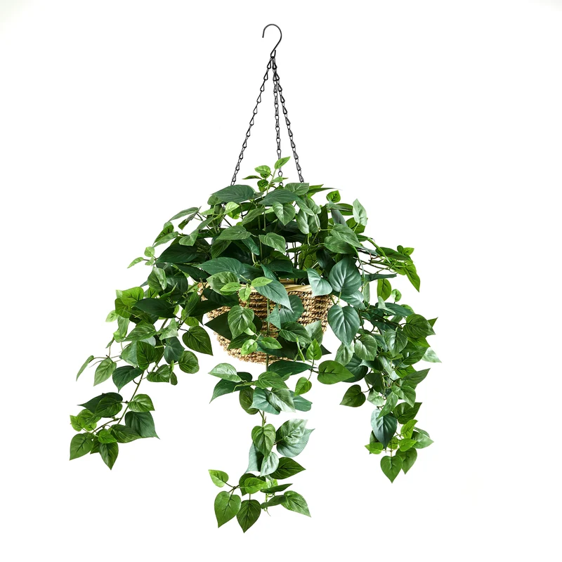 Künstliche Hänge-Efeutute – Theresia | 80 cm