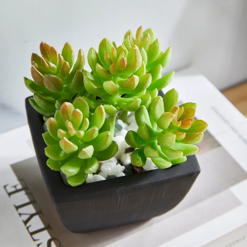 Künstliche Sukkulente – Nepomuk | 14 cm