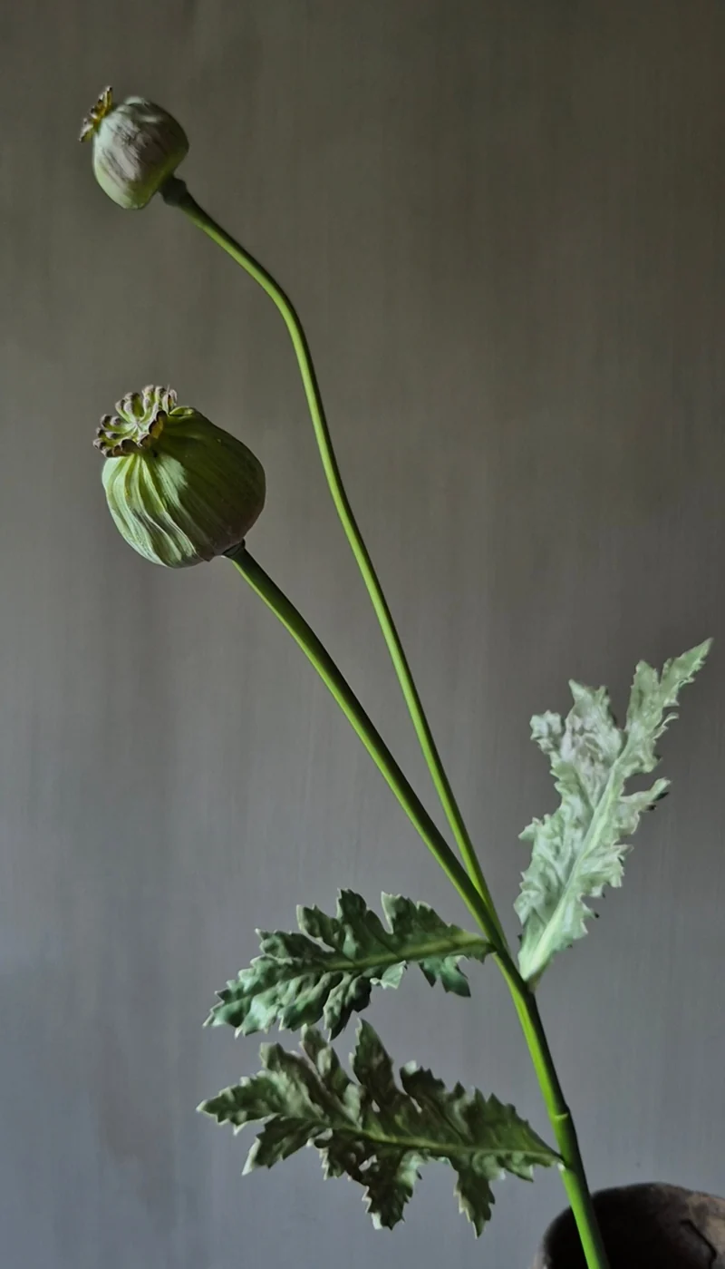 Papaver kunsttak groen - 78 cm