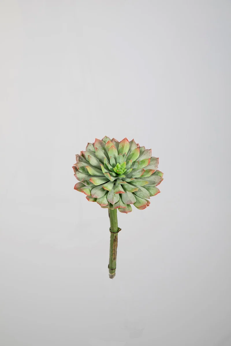 Kunst vetplant echeveria groen bordeauxrood - 10 cm