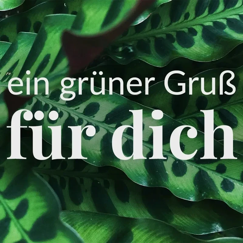 Grußkarte