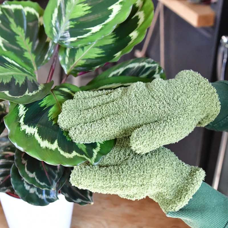 Staubhandschuh für Pflanzen