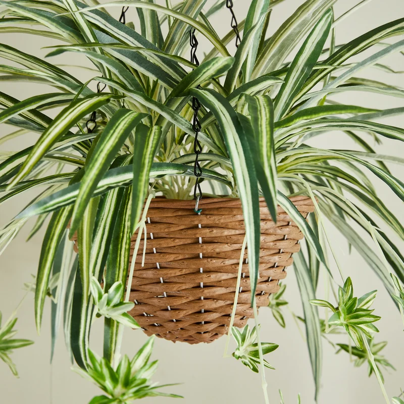 Künstliche Hänge-Grünlilie – Aurelio | 60 cm