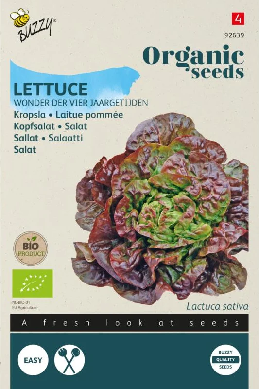 Kopfsalat Wunder der vier Jahreszeiten Samen BIO