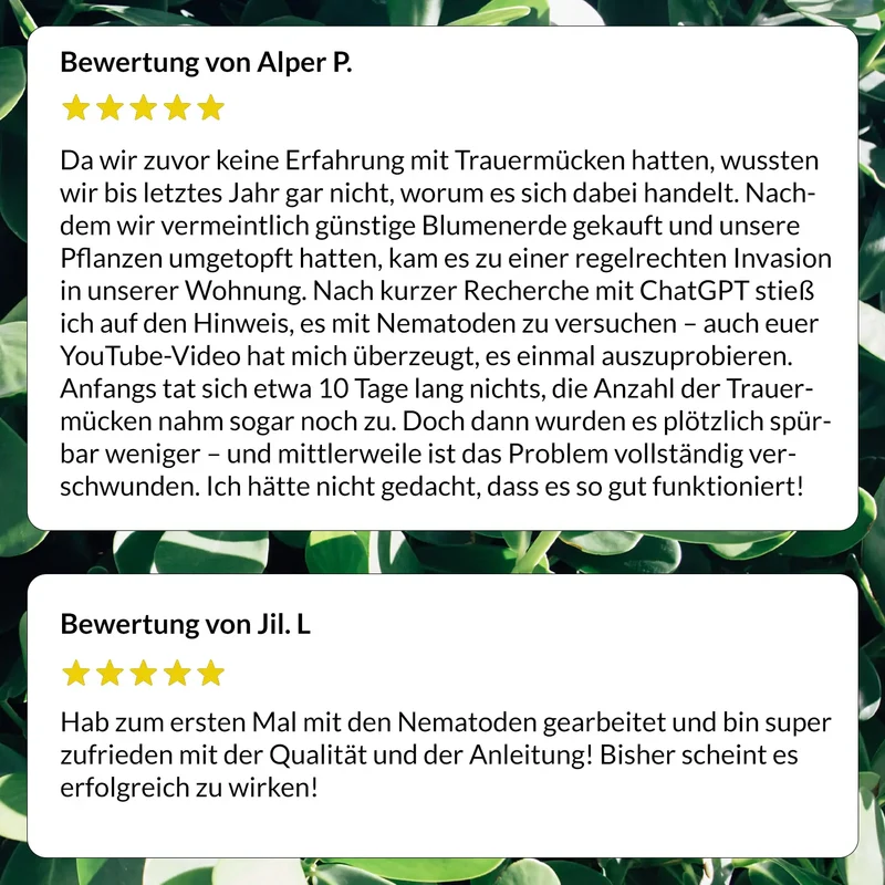Starterset Trauermücken Adé: Nematoden und Gelbtafeln