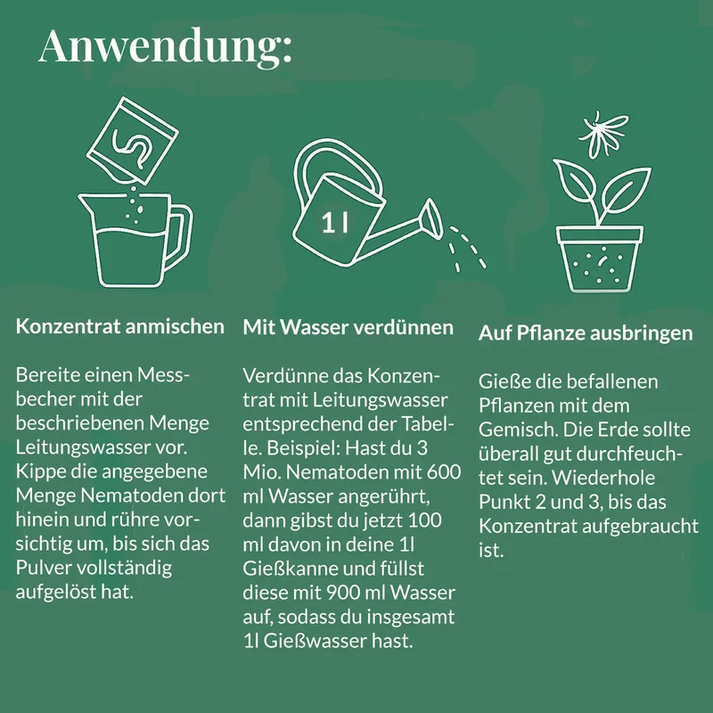 Starterset Trauermücken Adé: Nematoden und Gelbtafeln