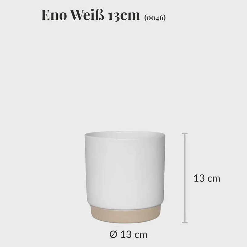 2er Fenix Wandhänger Set