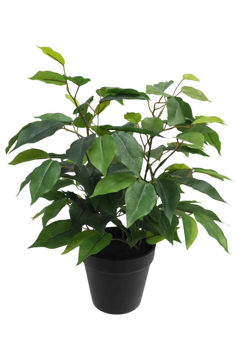 Ficus Kunstpflanze 40cm