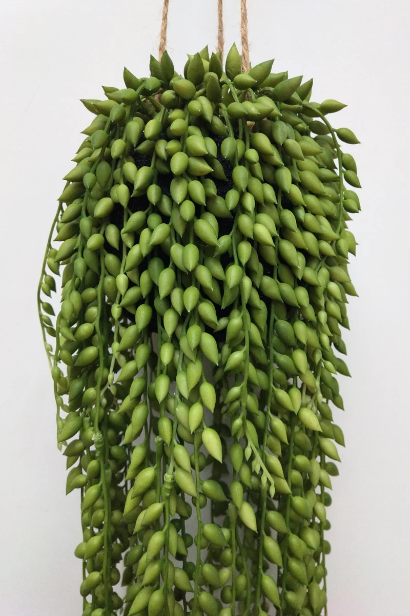 Senecio Kunst-Hängepflanze 75 cm