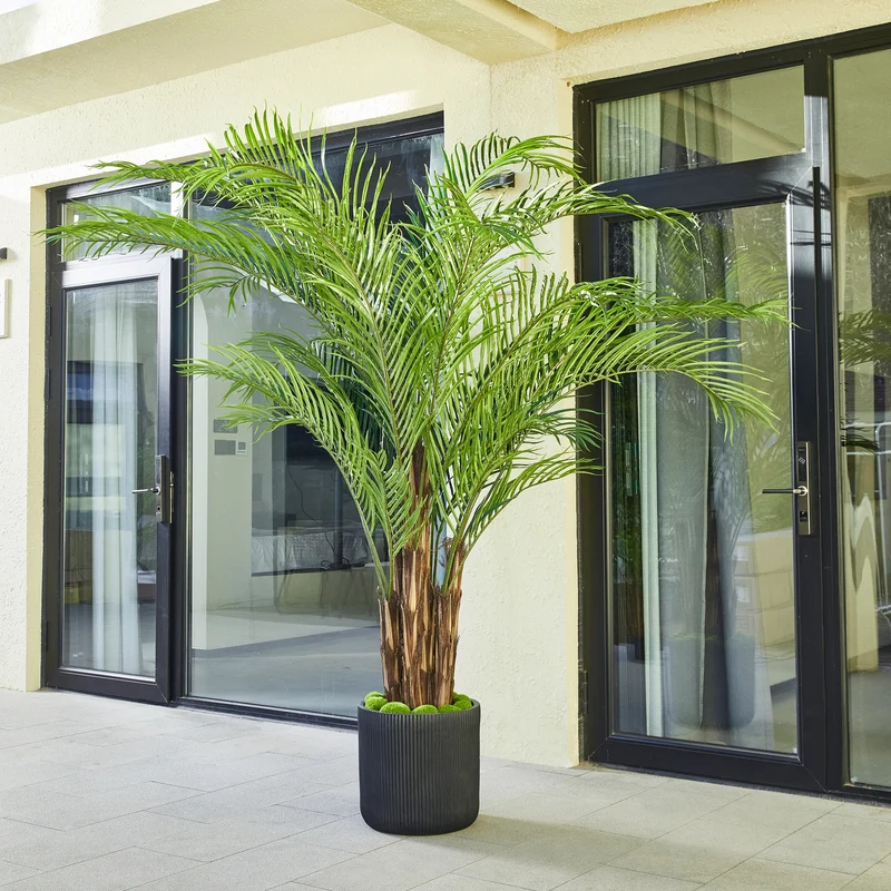 Künstliche Palme – Caliora | 240 cm