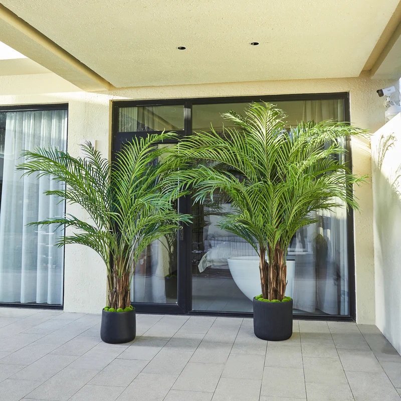 Künstliche Palme – Caliora | 240 cm