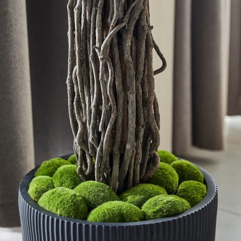 Künstlicher Ficus – Amadior | 210 cm